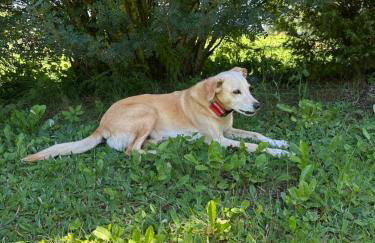 Dom pod Aniołem - Foto 28