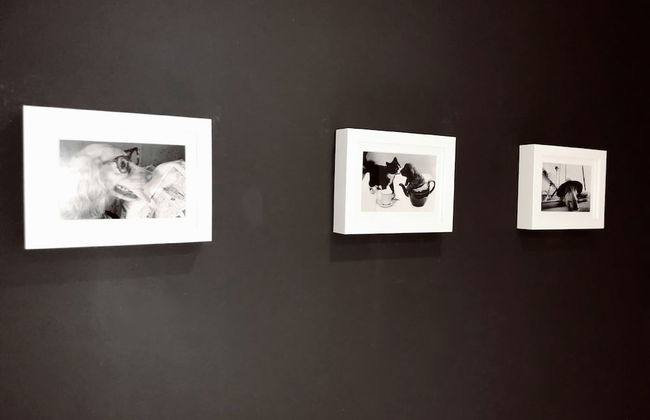 Uribarri en el corazón by Urban Hosts - Foto 13