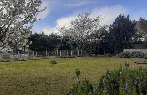 Espace détente le menoux - Foto 7