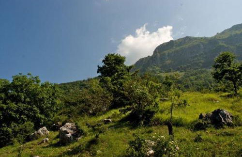 Alpeggio Pruno - Foto 39