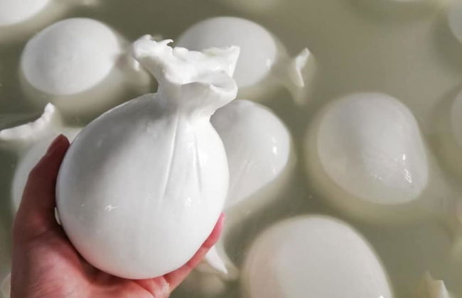 Agriturismo Modi - Foto 30