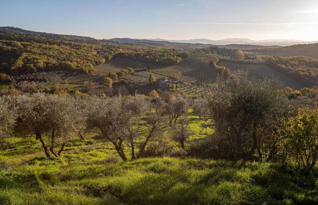 Beautiful Lux Apartment Chianti Firenze Area Italy - Photo 70