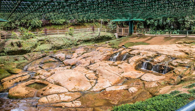 Tour privado por el Parque Arqueológico de San Agustín - Foto 4, Yacimiento arqueológico en San Agustín