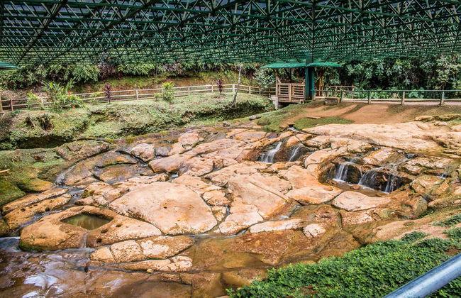 Tour privado por el Parque Arqueológico de San Agustín - Foto 4