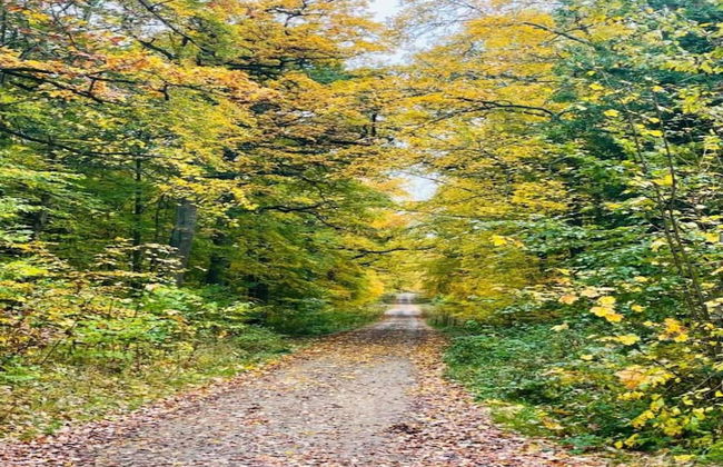 Comfort & Nature in Dankerode - Foto 33