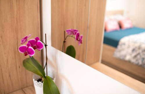 Apartman Jelena - Foto 23