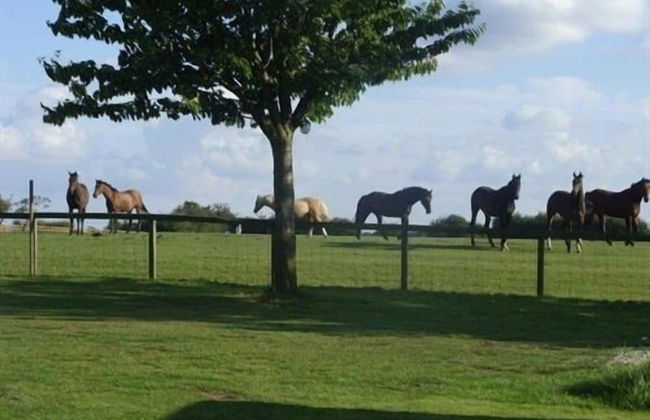 Skipbridge Farm Cottages - Photo 49