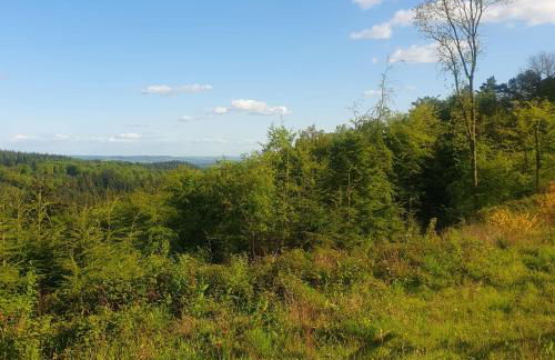 Forest Cedar Lodge, Forest of Dean - Foto 61