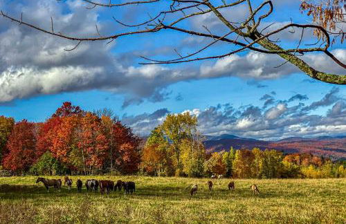 Scenic Sourbush - Photo 28