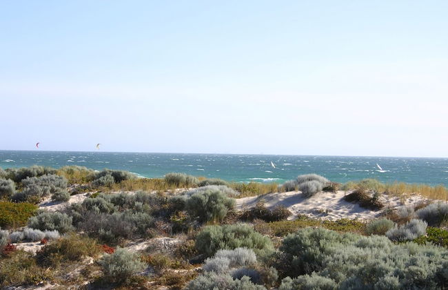 Scarborough & Absolutely Beachfront - Foto 30