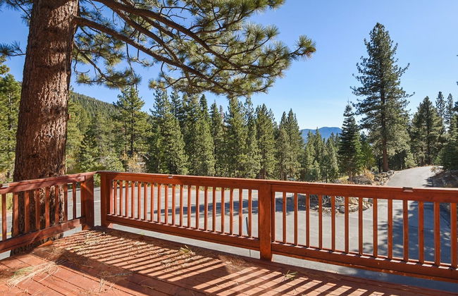 Mountain Bear Lodge - Foto 45