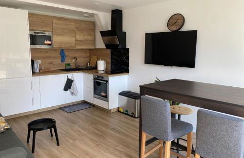 Amazing flat, Paris suburb, near Versailles ,Orly - Foto 1