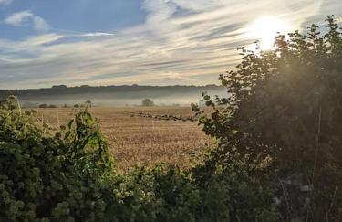 Stylish 3 bed Cotswold cottage with stunning views - Foto 34