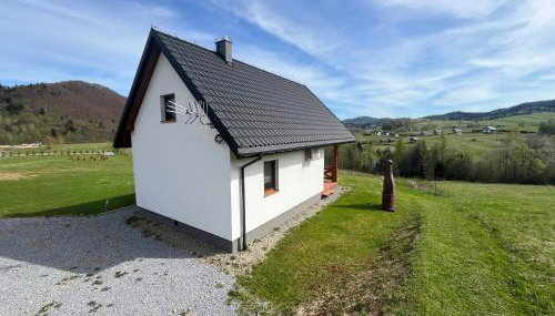 Biesiedlisko Bieszczadzkie - Foto 4