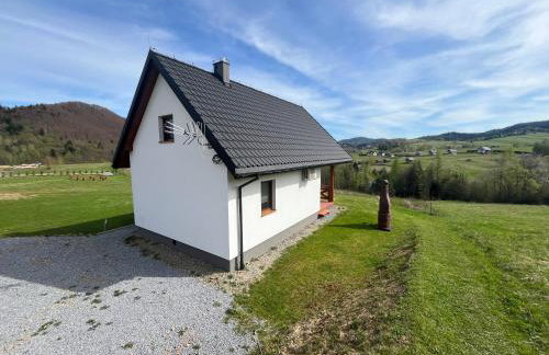 Biesiedlisko Bieszczadzkie - Foto 4