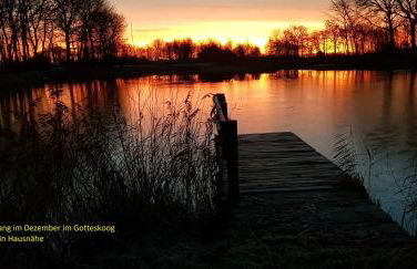 Ferienhaus Kömhuus - Photo 33