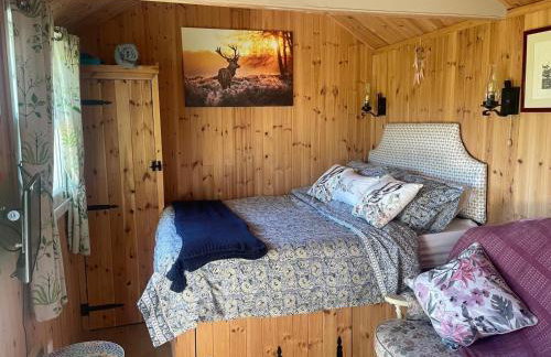 1 Bedroom Cabin Sleeps 2, Private Garden, Wifi - Photo 21