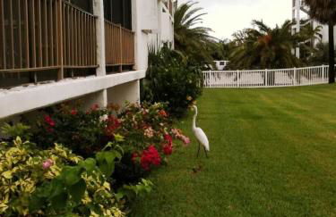 Oceanfront oasis with beach views & heated pool #34 - Foto 18