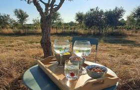 Villa das Oliveiras - Foto 38