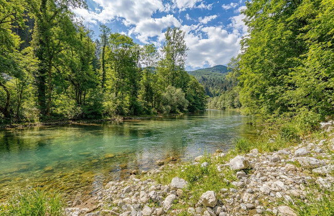 Rozi's Riverside Cottage - Foto 13