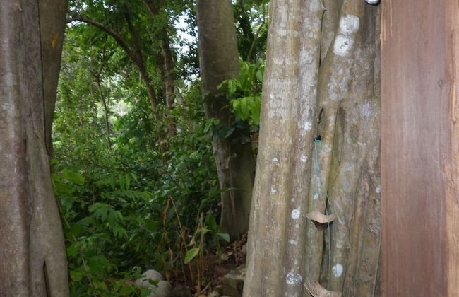 Citrus Creek Plantation - Photo 75