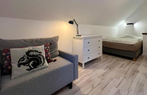 Masz Ci Las - Photo 22