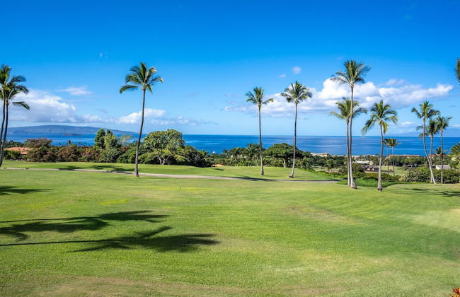 Luxurious Wailea Ocean Vistas - Foto 45