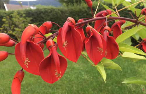 Haus Seidl - Foto 53