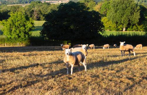 Coach House - Foto 27