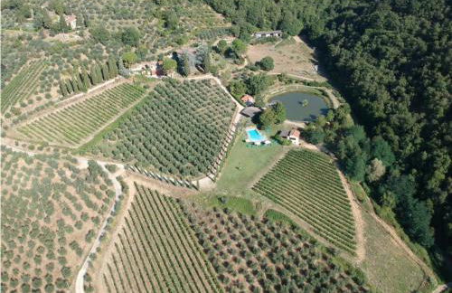 Agriturismo Fattoria Celle - Photo 21