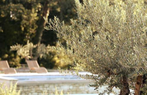 Villa Feijoa en Provence - Foto 39