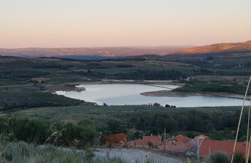 Casa da Relva Experiência Temática Inspirada em Harry Potter - Foto 55