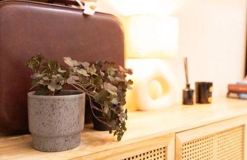 La casa de las flores - Photo 17