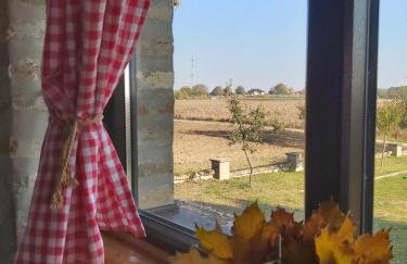 Izletište Opatovac - Foto 32