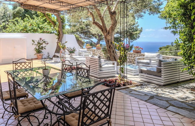 Oliveto Capri - Foto 58