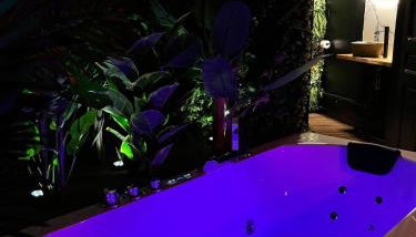 Amazonia Suite - Starry Sky & Spa Bath - Foto 3