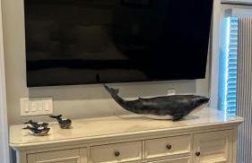 Luxurious Penthouse, King beds. Dog & ADA Friendly - Foto 28