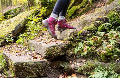 Ferienhaus Storchenblick - Foto 38