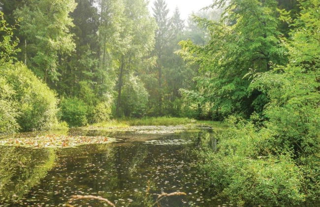 Ferienwohnung mit Sauna in Lothe - Foto 17