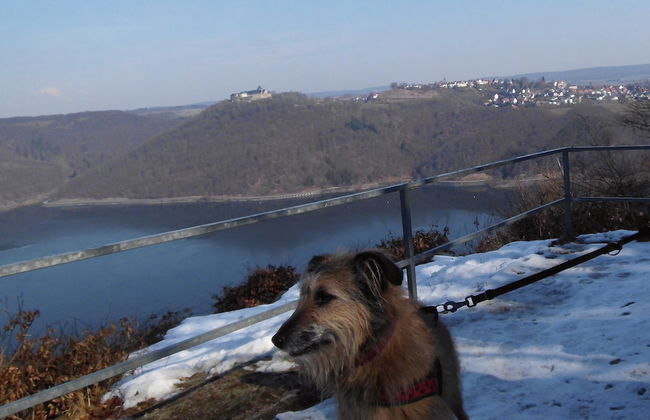 Friedrichs Ferienwohnungen - Foto 39