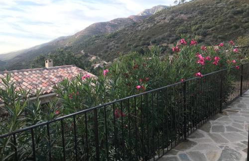 Gîte A Funtana Montestremo, Balagne, Haute Corse - Foto 74