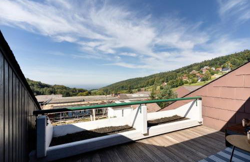 Schwarzwaldtraum - Foto 21