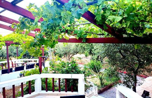 Sunrise Apartments - Photo 79