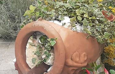 Impronta di Gaia - Photo 24