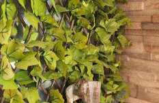 Happy Studio - Foto 38