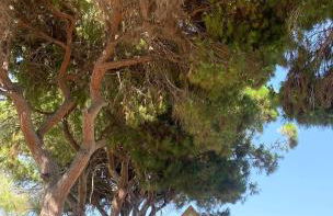 LagoVista45 - Foto 24