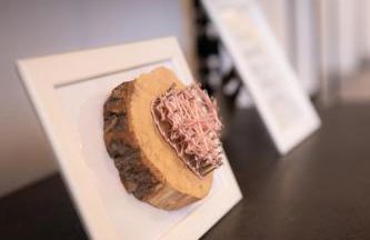 Schönes 2-Zimmer Apartment mit Balkon inklusive PKW Stellplatz - Foto 14