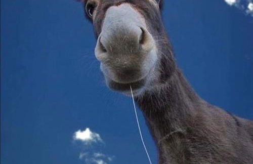 Casa Giuly Vacanze - Foto 34