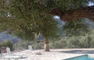 El Cañuelo - Foto 42