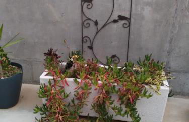 La CASA GRIS - Foto 36